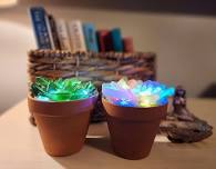 Lit Sea Glass Succulents at TJ Callahan's in Tewksbury MA - Tuesday June 13th 7pm-9pm