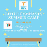 Little Gymnasts Summer Camp