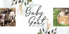 Baby Goat Mini Sessions