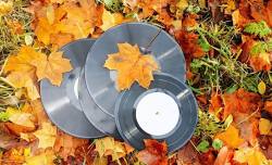 Autumn Gladstone Record Fair