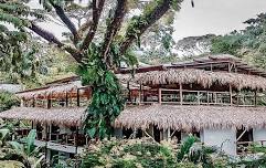 Self Reset Yoga Retreat in Costa Rica June 2024