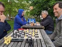 MONDAY night Winter Chess group, INSIDE at the Hastings Library, 7 Spring St