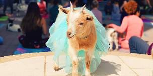 Halloween Costume Goat Yoga @ Pecan Square!