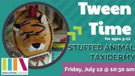 Tween Time: Stuffed Animal Taxidermy