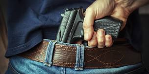 2-Day Illinois Concealed Carry License (CCL) Class