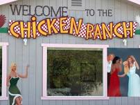 Chicken Ranch- lunch and tour