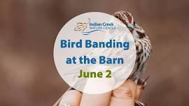 Bird Banding at the Barn