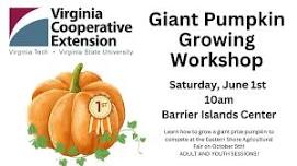 Virginia Cooperative Extension Pumpkin Growing Workshop