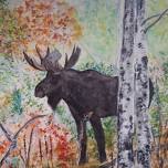 Art in the Wild: Tips and Techniques for Watercolor- Animals and Trees — Wild Bear Nature Center - We Are Nature