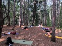 Yoga & Guided Forest Bathing