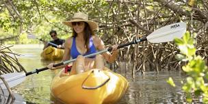 Mangroves and Manatee Kayaking Tour