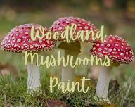 Paint & Sip: Woodland Mushrooms