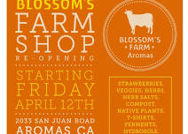 Blossom's Farm shop Aromas