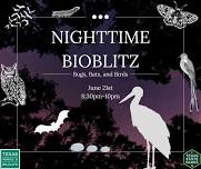 Nighttime Bioblitz