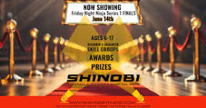 Friday Night Ninjas Series 1 Finals: Movie Awards Night