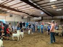 Farewell 4-H 124th Meeting Daily Care and Showmanship