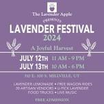 Lavender Festival 2024