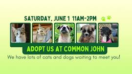 Adoption Event at Common John in Manchester, TN