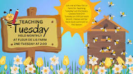 Teaching Tuesday - Fleur De Lis Monthly Beekeeping Field Study