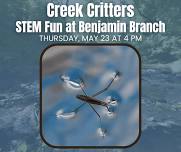 STEM Fun at Benjamin Branch: Creek Critters