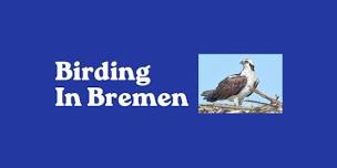 Birding in Bremen