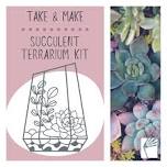 Succulent Terrarium: Adult Take & Make Kit