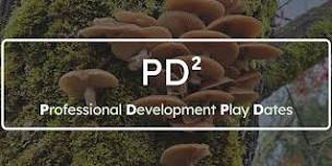PD² - A Day of Play for K-8 Teachers - Meridian Playground (July 10th)