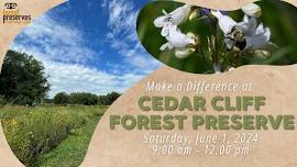 Volunteer Work Day at Cedar Cliff Forest Preserve
