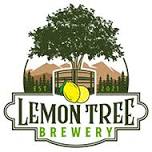 solo at The Lemon Tree Brewery