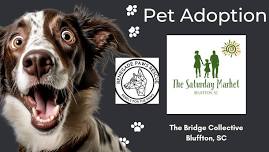 Pet Adoption with Renegade Paws Rescue