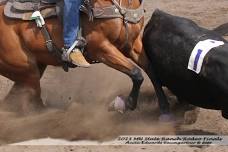 Shamrock Hest Ranch Rodeo