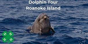 Wildlife: Dolphin Tour