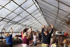 Beer Yoga at Funky Bow Brewery