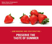 Jam Making and Dehydrating Workshop