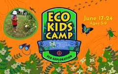 Eco Kids Camp 2024