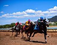 August 10th Live Horse Racing