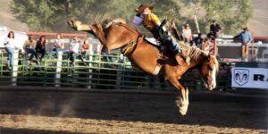 Cowboy rodeo at Cattlemen's Days.