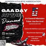 GAA Day at the Diamond - Richmond Flying Squirrels