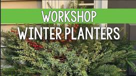 Workshop - Winter Planters — Bucks Country Gardens