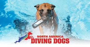 NADD Dock Diving June Jump Qualifier
