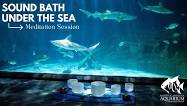 Sound Bath Under the Sea