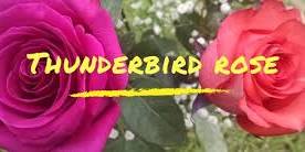 Thunderbird Rose