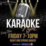 Karaoke at Grapevine Springs Winery