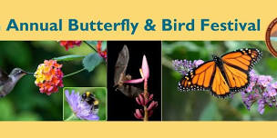 Bird and Butterfly Festival!