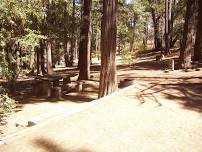 Cuyamaca Rancho State Park Field Trip