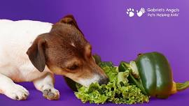 Adding Healthy Years to Your Pet's Life Through Nutrition