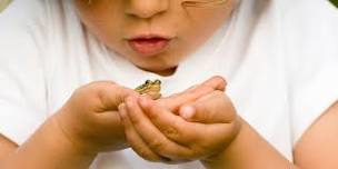 Frogs and Friends, Family Program, $4 per person upon arrival