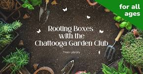 Rooting Boxes with the Chattooga Garden Club