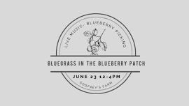 Bluegrass in the Blueberry Patch