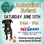 PetSmart Adoption Event - Geneseo